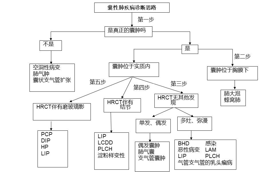 肺部囊性疾病影像诊断思路 | 每周呼吸-每周呼吸