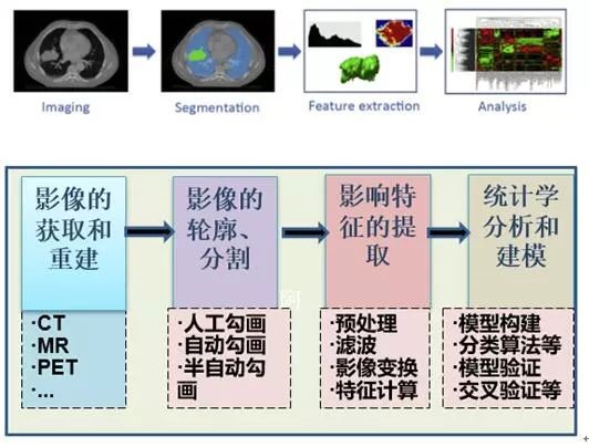 图片[2]-肺隐球菌病管理 | 每周呼吸-每周呼吸