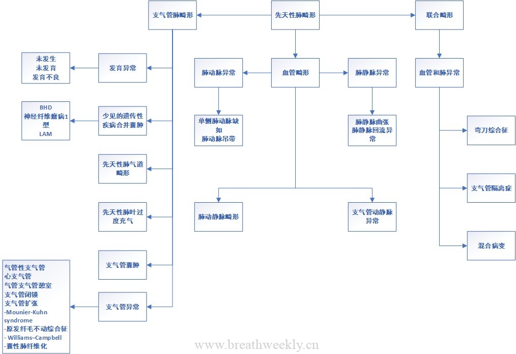 图片[1]-成人肺部先天性疾病影像学图片综述 | 每周呼吸-每周呼吸