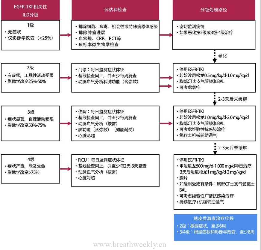 快速掌握靶向和免疫治疗相关肺损伤的治疗-每周呼吸