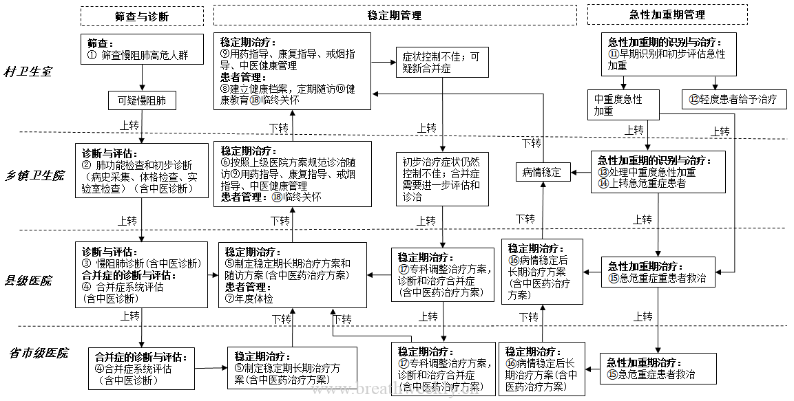 图片[1]-县域慢性阻塞性肺疾病分级诊疗技术方案 | 每周呼吸-每周呼吸